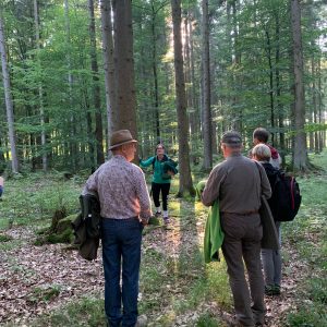 Gruppenkurs Waldbaden Waldmariechen Waldbaden