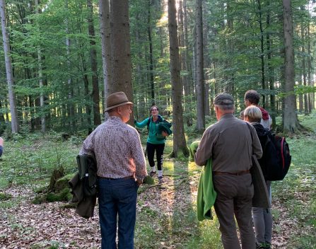 Gruppenkurs Waldbaden Waldmariechen Waldbaden